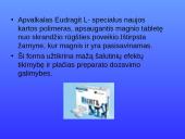 Magnis. Magvit 6 puslapis