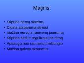 Magnis. Magvit 7 puslapis