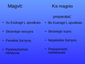Magnis. Magvit 8 puslapis