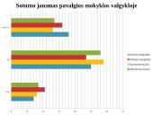 Maitinimo organizavimas mokyklose: situacija ir problemos 12 puslapis