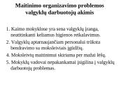 Maitinimo organizavimas mokyklose: situacija ir problemos 17 puslapis