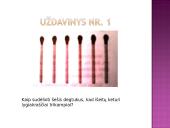 Mąstymo uždaviniai. Problemų sprendimo būdai 17 puslapis