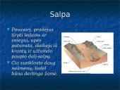 Mėlynieji vandens takai 11 puslapis