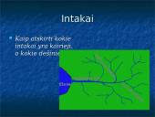 Mėlynieji vandens takai 7 puslapis