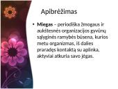 Viskas apie miegą 2 puslapis