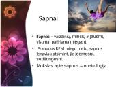 Viskas apie miegą 12 puslapis
