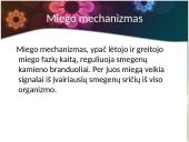 Viskas apie miegą 18 puslapis