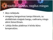 Viskas apie miegą 7 puslapis