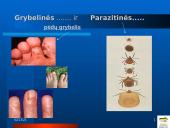 Mikrobiologija ir infekcinės ligos 9 puslapis