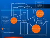 Mikroorganizmų atsparumas ir racionalus antibiotikų vartojimas 11 puslapis