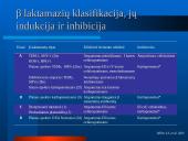 Mikroorganizmų atsparumas ir racionalus antibiotikų vartojimas 19 puslapis