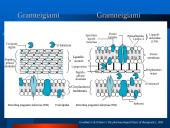 Mikroorganizmų atsparumas ir racionalus antibiotikų vartojimas 5 puslapis