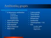 Mikroorganizmų atsparumas ir racionalus antibiotikų vartojimas 6 puslapis