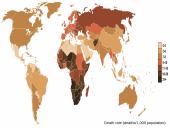 Mirtingumas. Istorinė raida ir dabartinė situacija 19 puslapis