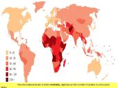 Mirtingumas. Istorinė raida ir dabartinė situacija 20 puslapis
