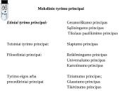 Mokslinio darbo pagrindai 16 puslapis