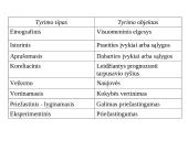 Mokslinio darbo pagrindai 18 puslapis