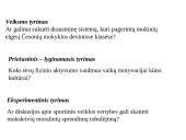 Mokslinio darbo pagrindai 20 puslapis