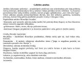 Mokslinio darbo pagrindai 6 puslapis