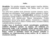 Mokslinio darbo pagrindai 8 puslapis