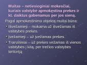 Muitų sąvoka. Teisiniai muitų veiklos reguliavimo pagrindai. Muitinės departamentas 2 puslapis