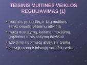 Muitų sąvoka. Teisiniai muitų veiklos reguliavimo pagrindai. Muitinės departamentas 3 puslapis