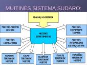 Muitų sąvoka. Teisiniai muitų veiklos reguliavimo pagrindai. Muitinės departamentas 7 puslapis