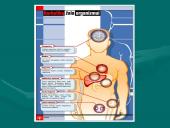 Narkomanijos problema 10 puslapis