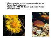 Nationalpark Žemaitija 11 puslapis