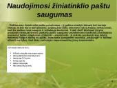 Naudojimasis paštu žiniatinklyje 11 puslapis