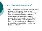 Neteisėtas programų naudojimas ir teisinė atsakomybė 6 puslapis