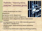 Nelegalus programų naudojimas ir teisinė atsakomybė 5 puslapis