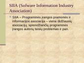 Nelegalus programų naudojimas ir teisinė atsakomybė 7 puslapis