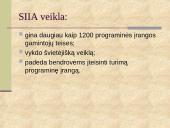 Nelegalus programų naudojimas ir teisinė atsakomybė 8 puslapis