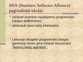 Nelegalus programų naudojimas ir teisinė atsakomybė 9 puslapis