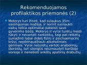 Nevaisingų šeimų problema Lietuvoje 13 puslapis