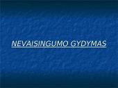 Nevaisingų šeimų problema Lietuvoje 14 puslapis