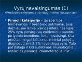 Nevaisingų šeimų problema Lietuvoje 7 puslapis