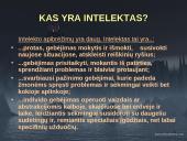 Nežymiai sutrikusio intelekto vaikai ir jaunuoliai 2 puslapis