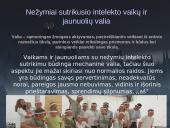 Nežymiai sutrikusio intelekto vaikai ir jaunuoliai 12 puslapis