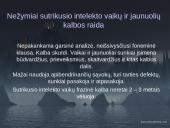 Nežymiai sutrikusio intelekto vaikai ir jaunuoliai 13 puslapis