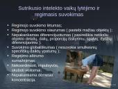 Nežymiai sutrikusio intelekto vaikai ir jaunuoliai 16 puslapis