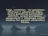 Nežymiai sutrikusio intelekto vaikai ir jaunuoliai 3 puslapis