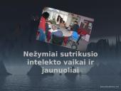 Nežymiai sutrikusio intelekto vaikai ir jaunuoliai 9 puslapis