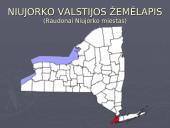 Niujorko miestas 2 puslapis