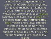 Niujorko miestas 14 puslapis