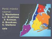 Niujorko miestas 18 puslapis