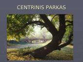 Niujorko miestas 10 puslapis