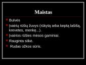 Bendra informacija apie Norvegiją 11 puslapis