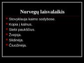Bendra informacija apie Norvegiją 13 puslapis